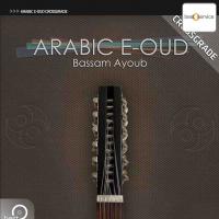 Best Service Arabic E-Oud Crossgrade
