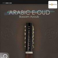 Best Service Arabic E-Oud