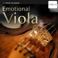 Best Service Emotional Viola Crossgrade
