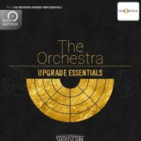 Best Service The Orchestra Upgrade from Essentials