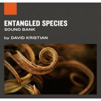 Entangled Species