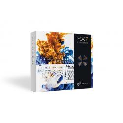 RX 7 Standard